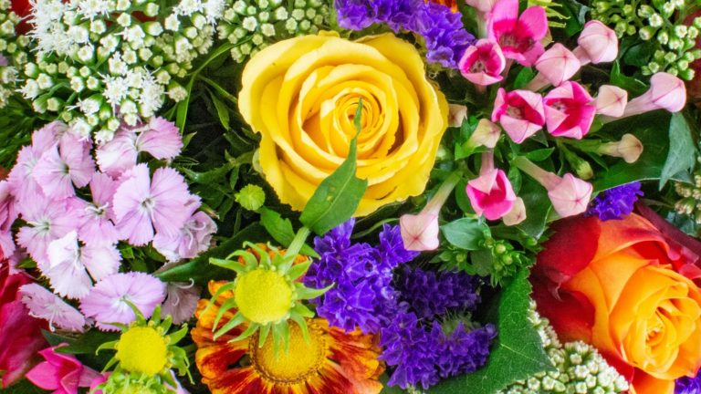 biologische bloemen lidl