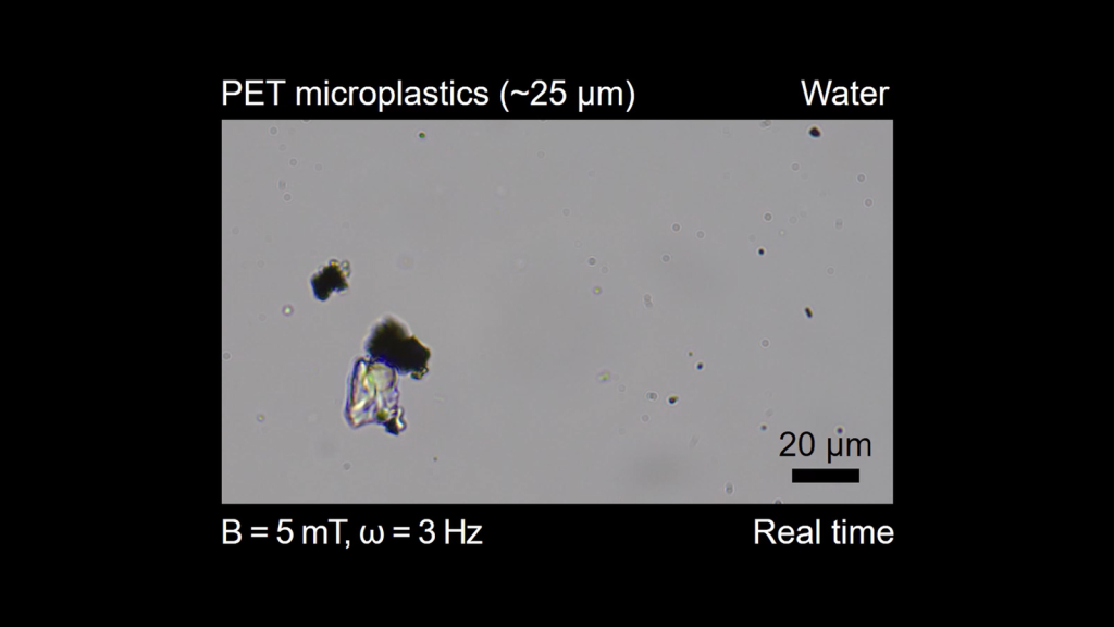 Microrobots ruimen microplastics op
