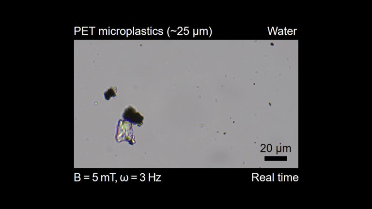 Microrobots ruimen microplastics op