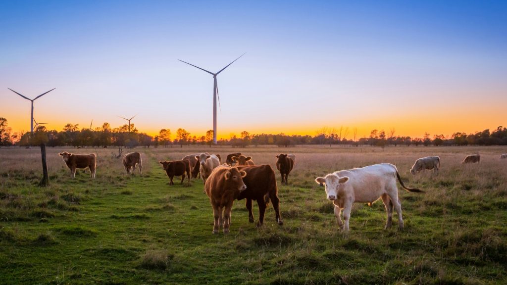 duurzame troonrede 2026 landbouw