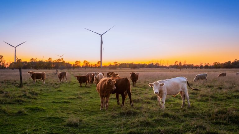 duurzame troonrede 2026 landbouw