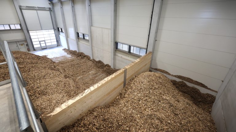 biomassa houtpellets bijstook centrale kolen