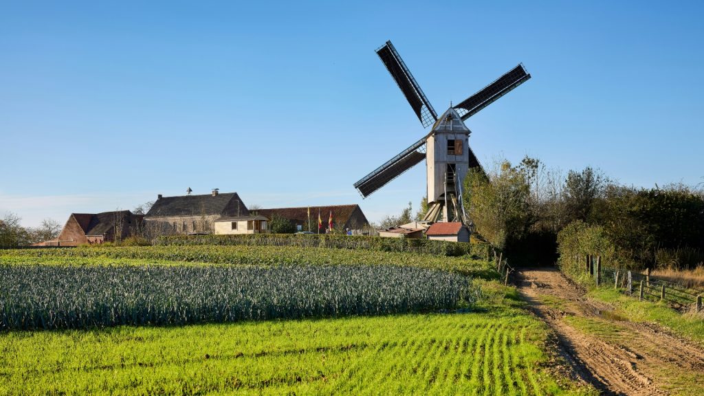 transitie duurzame landbouw boeren stikstof SER