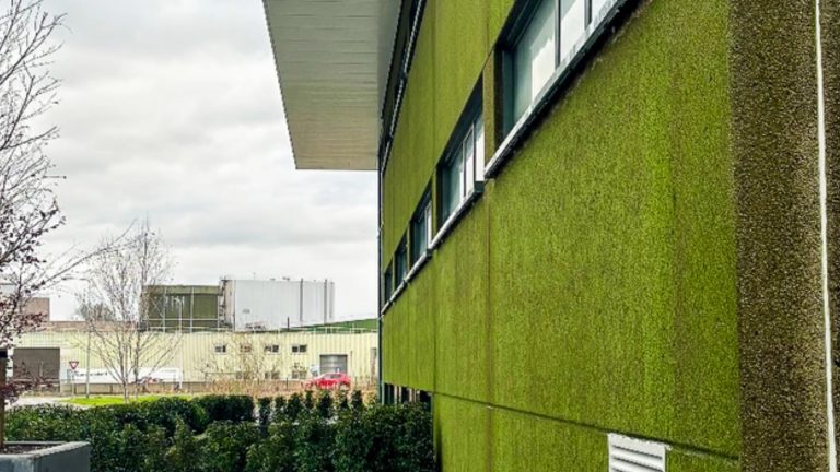 moswand op beton