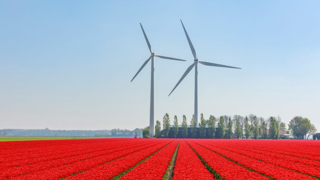 afstandsnorm windmolens land